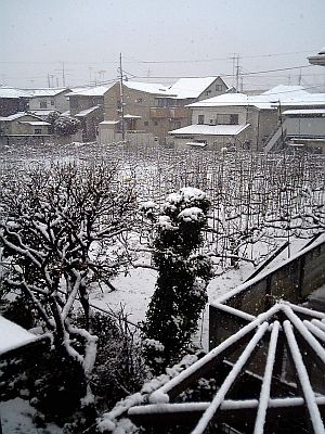 雪